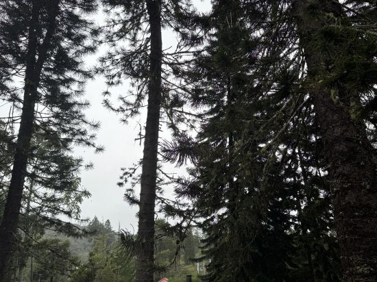 金馬侖高原世紀松園度假村優惠