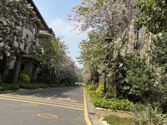 恩平恆大泉都夢雅温泉別墅優惠