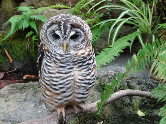 高台から海を望む 絶景の宿　伊豆・熱川温泉 粋光（SUIKO） クーポン
