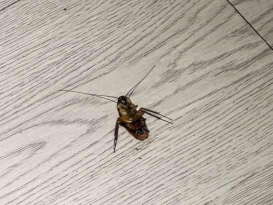 廣州道達尚品酒店優惠