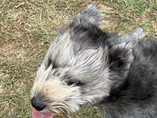 福州倉山希爾頓惠庭飯店優惠