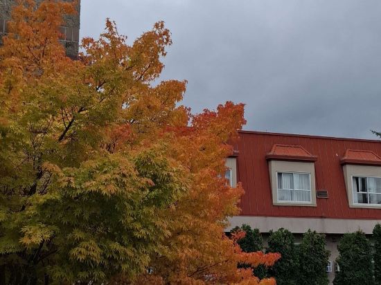 維多利亞紅獅套房酒店優惠