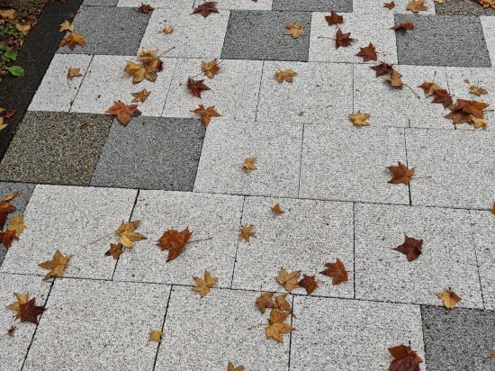 東京府中櫸門飯店優惠