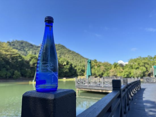 凱里亞德酒店（惠州博羅園洲店）優惠