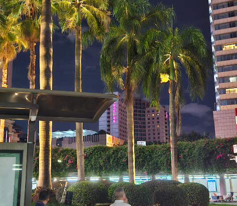 佛山恆安瑞士大酒店優惠