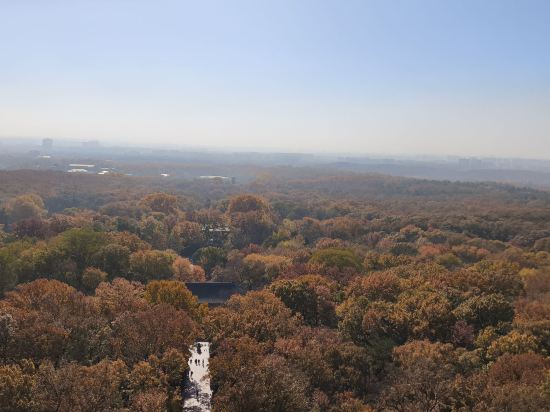 桔子水晶南京總統府中山東路飯店優惠