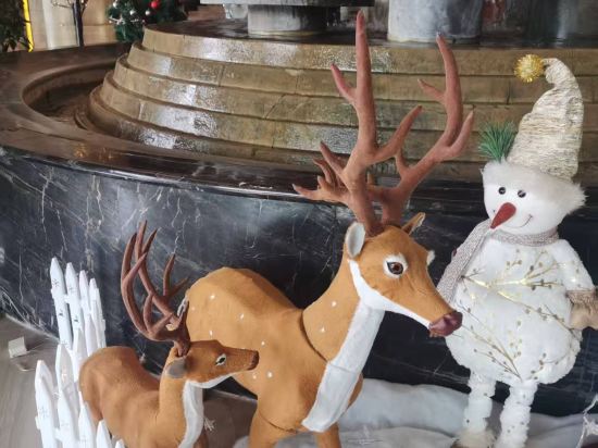 梧州國龍大酒店優惠