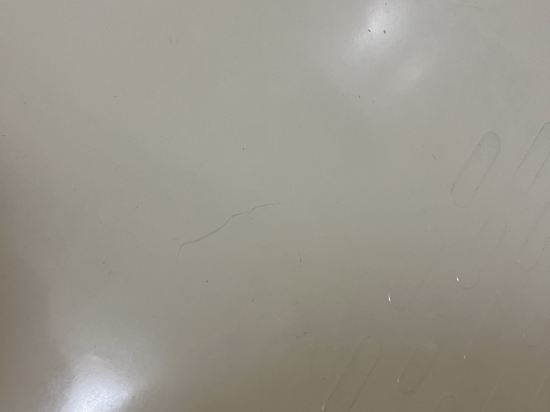 コンフォート ホテル新潟駅前 クーポン