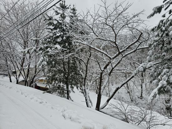 Yangpyeong Koala Kids Pool Villa 쿠폰