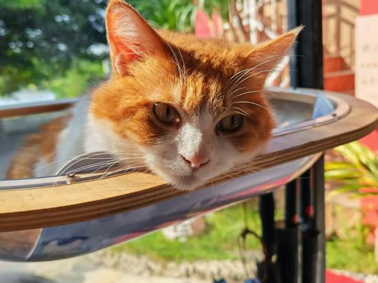 玖米宿江（桂林兩江四湖東西巷店）優惠