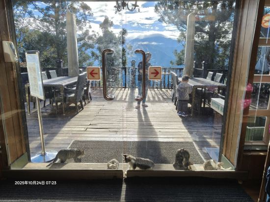 南投清境空中花園優惠