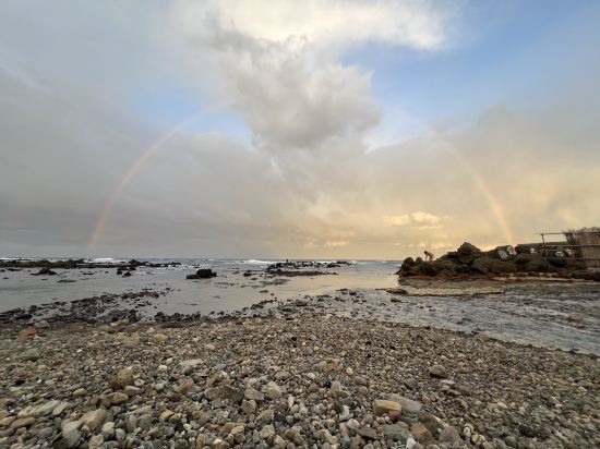 黃金崎不老不死溫泉旅館優惠