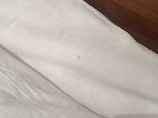 公園大道貝斯沃特酒店優惠