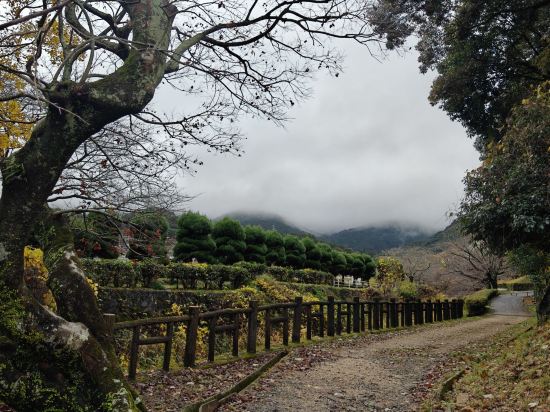 御宿　高砂 クーポン