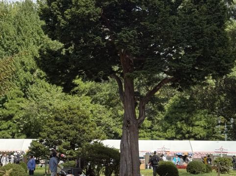 ONSEN RYOKAN 由縁 札幌 クーポン