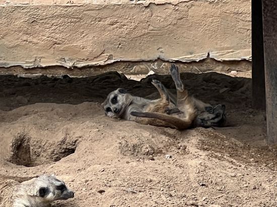 東莞隱賢山莊酒店優惠