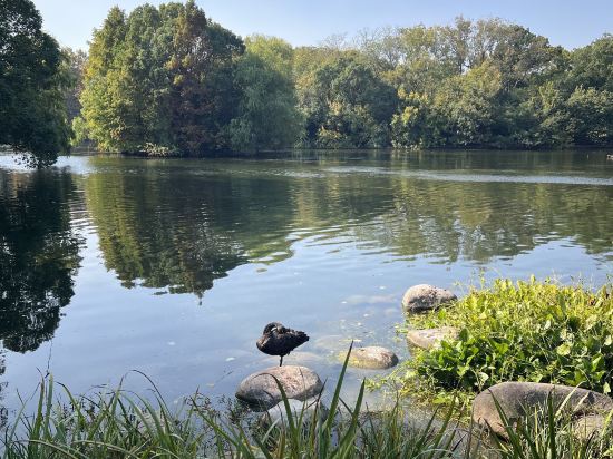 上海西郊賓館優惠