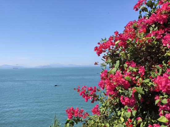 深圳半天雲海岸度假村優惠