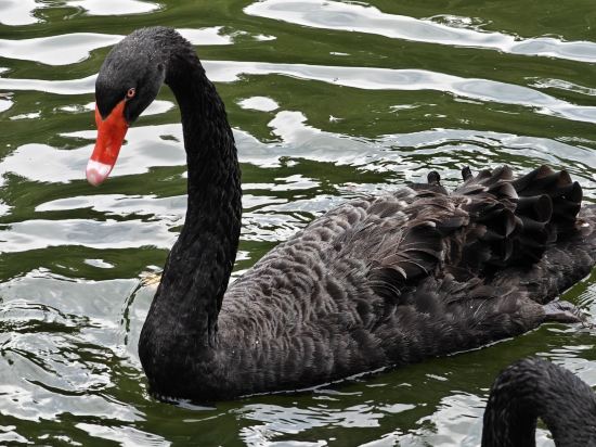 深圳奈威S酒店（西麗地鐵站店）優惠