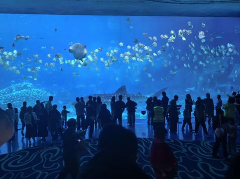 長隆橫琴灣酒店（珠海長隆旗艦店）優惠