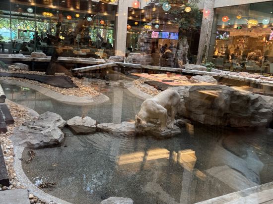 長隆酒店（廣州長隆野生動物世界店）優惠