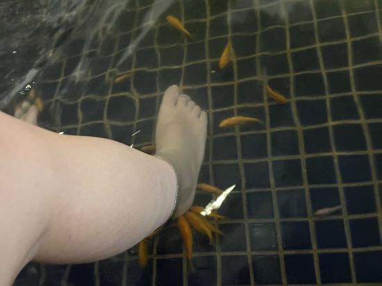 屏東墾丁馬爾地夫渡假飯店優惠