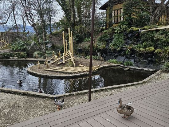 露天風呂付き離れの宿　南阿蘇俵山温泉旅館　竹楽亭 クーポン