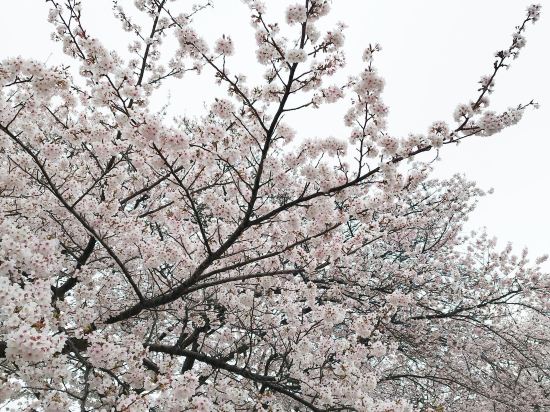 ホテルラフィナート札幌 クーポン