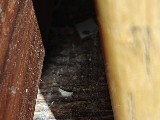 金越南飯店優惠