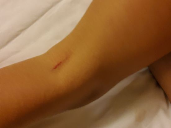 最佳盛品飯店（香港尖沙咀店）（貝斯特韋斯特飯店）優惠