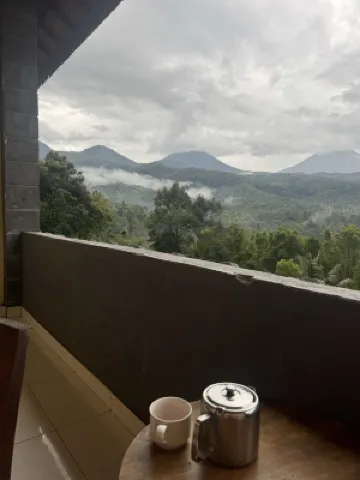 Edy Homestay Area Publik Photos