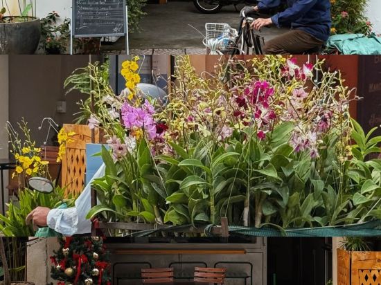 胡志明市日出中心酒店優惠