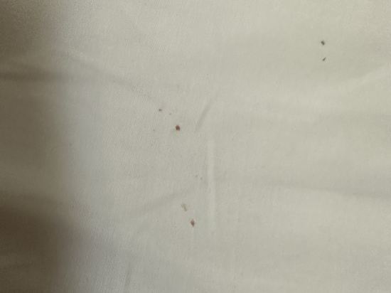 太陽花酒店優惠