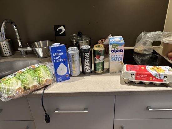 蘇黎世市中心阿德吉奧公寓飯店優惠