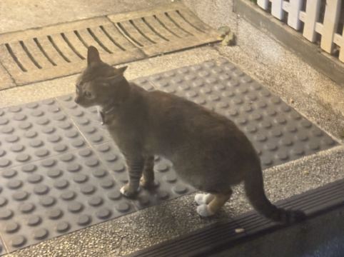 香港文化旅館-翠雅山房優惠