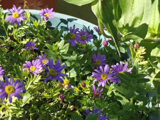 多倫吉嘉賓館優惠