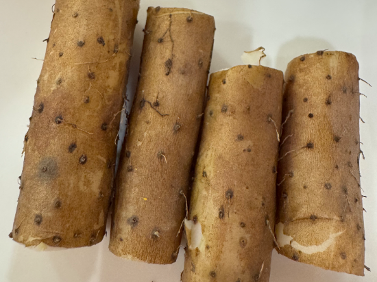 福建陽光假日大飯店優惠