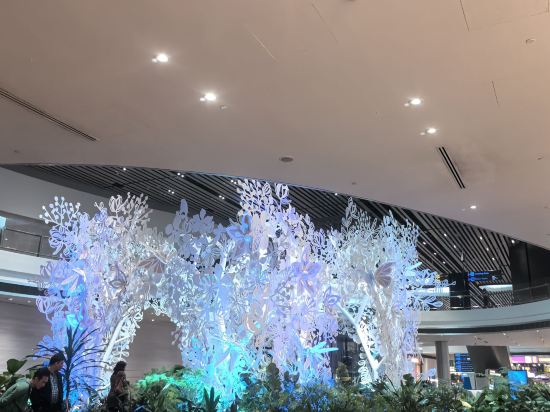 新加坡81飯店-鑫星優惠