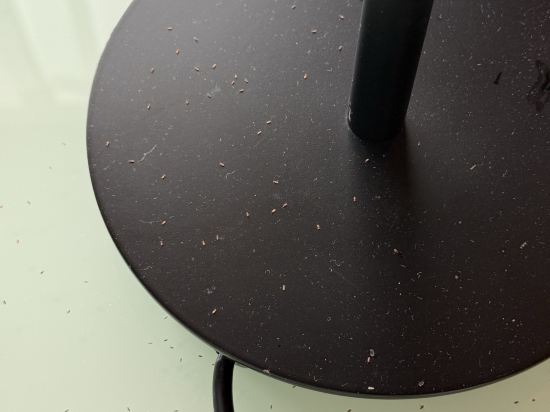 珠海橫琴希爾頓花園酒店優惠