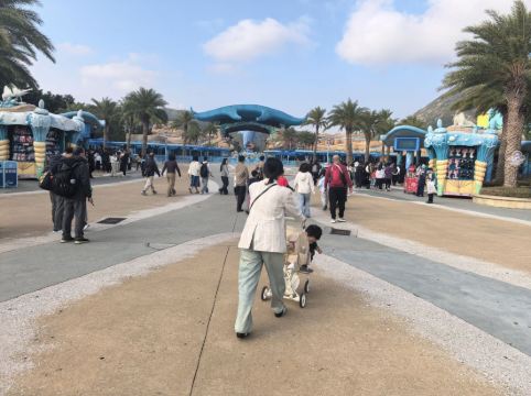 長隆橫琴灣酒店（珠海長隆旗艦店）優惠