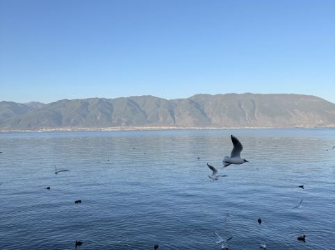 大理聽花島海景花園美宿優惠