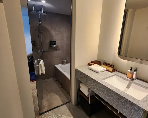 HOTEL GROOVE SHINJUKU, A PARKROYAL Hotel Rooms Photos