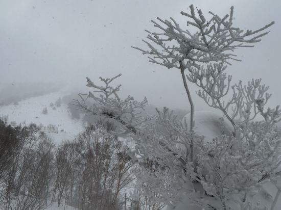 羣馬萬座王子酒店優惠