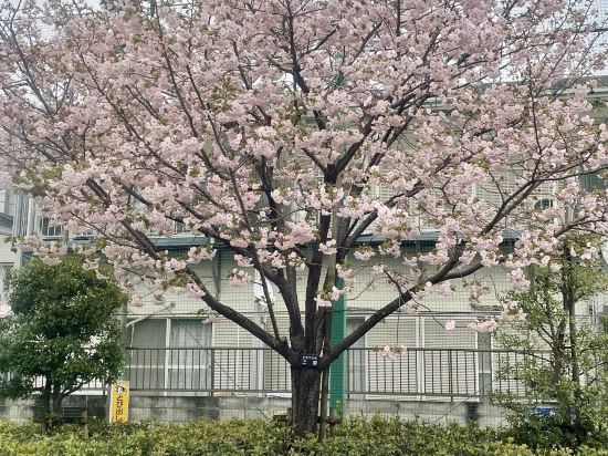 全理連 代代木之宿優惠