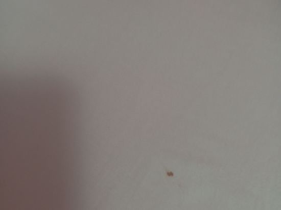 伍德斯託克旅館優惠