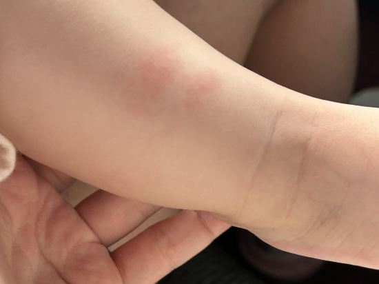 新加坡宜必思快捷-水晶（SG Clean） （Staycation Approved）優惠