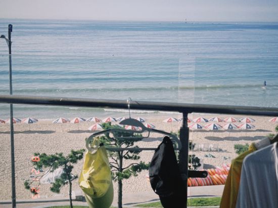 Busan Songjeong Sloth 쿠폰