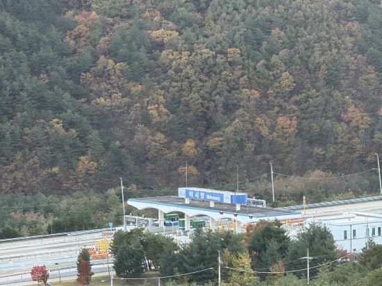 소노펠리체 델피노 고성 쿠폰