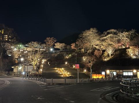 伊香保温泉 横手館 クーポン