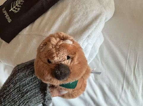 澳門四季酒店優惠